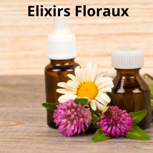 elixirs floraux