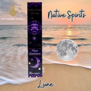encens esprit de la lune native spirits