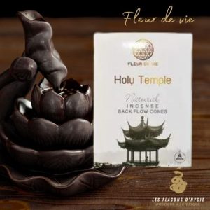 encens fleur de vie holy temple cônes backflow