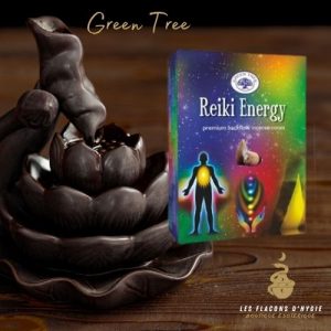 encens reiki energy green tree cônes backflow