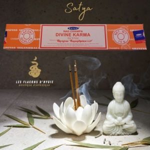 encens satya divine karma
