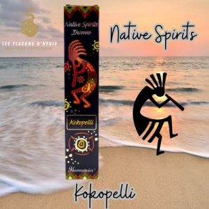 encens esprit du kokopelli native spirits