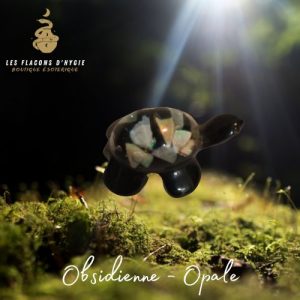 tortue orgonite sur opale mexique