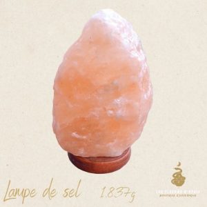 lampe de sel 1.649g (copie)