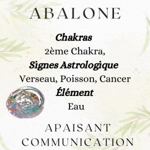 abalone